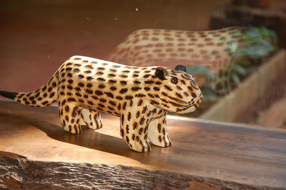 Tierra Guarani Lodge 13/50