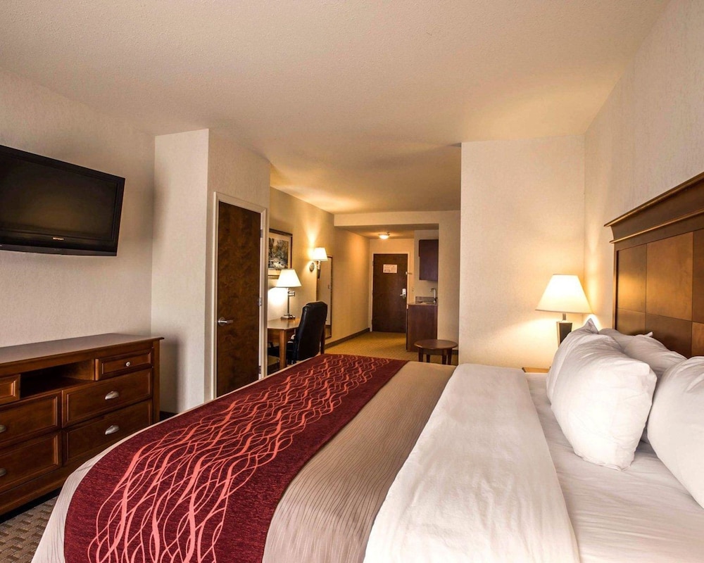 Comfort Inn & Suites Rogersville 16/37