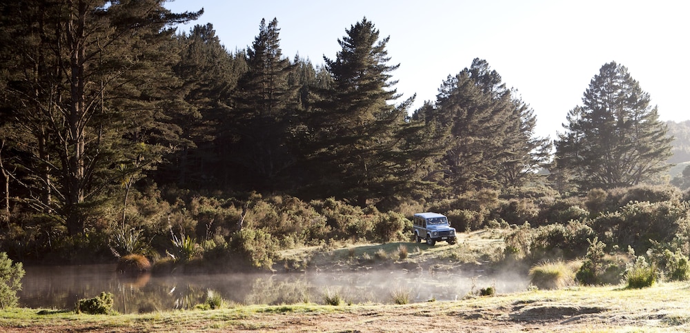 Treetops Lodge and Wilderness Experience 55/59