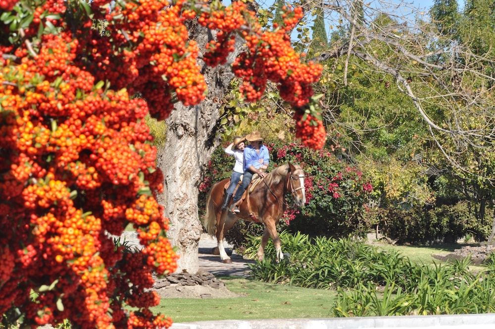 HOTEL HACIENDA CANTALAGUA GOLF 26/65