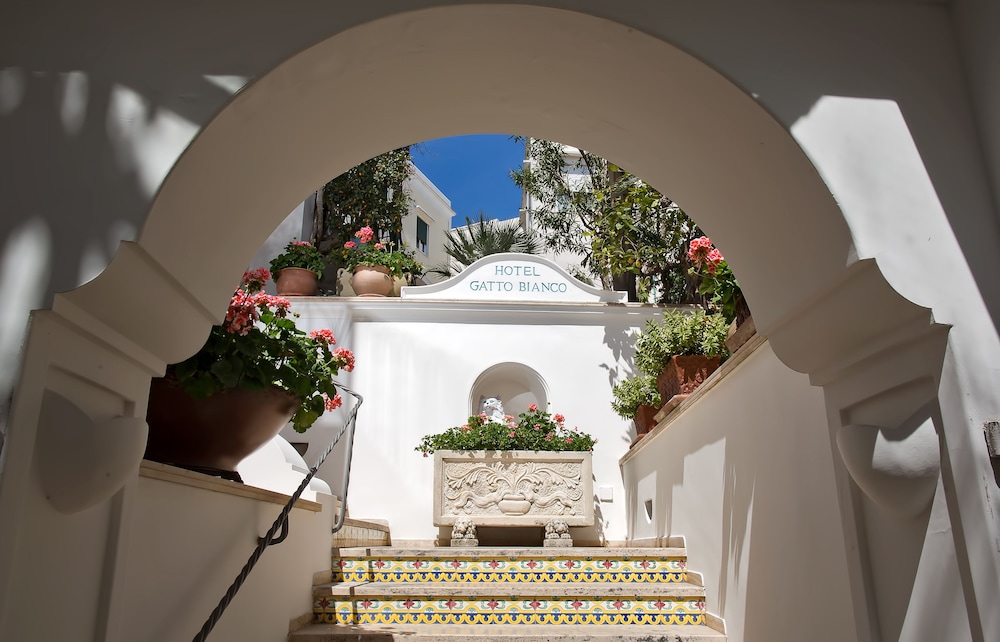 Hotel Gatto Bianco 6/46