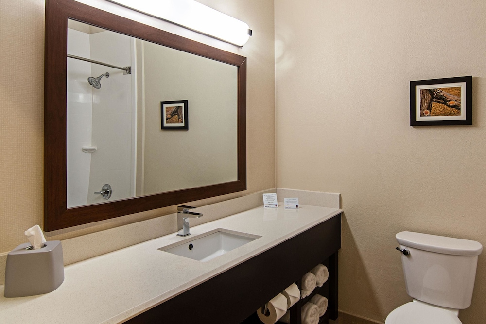 Comfort Suites NW Dallas Near Love Field 17/49