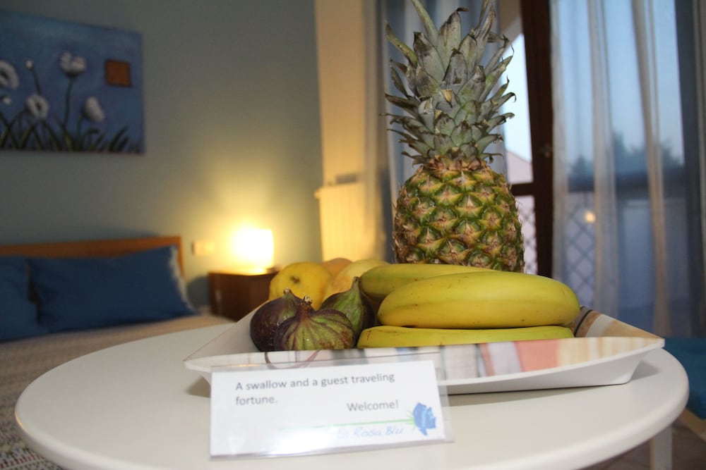 La Rosa Blu Bed and Breakfast 34/59