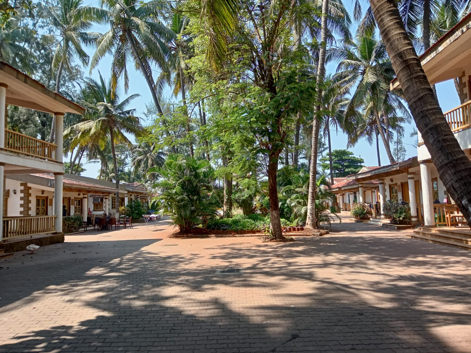 Golden Swan Beach Resort 10/17