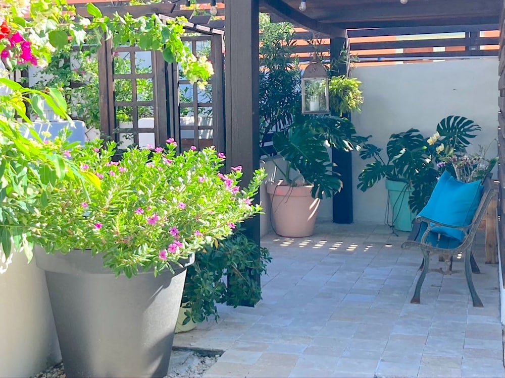 Lagunita Aruba 43/50