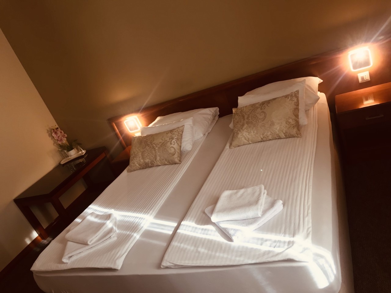 Bristol Hotel 20/50