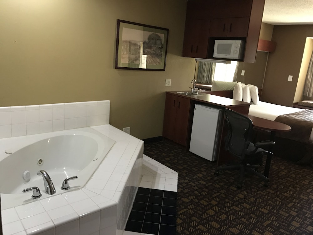 Microtel Inn & Suites by Wyndham Lithonia/Stone Mountain 26/31