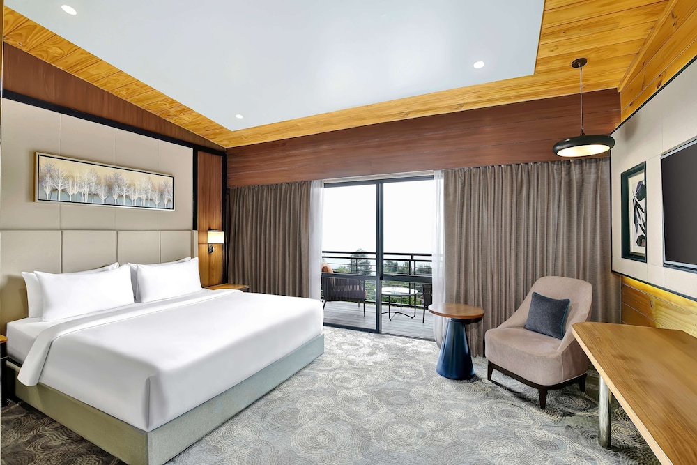 Radisson Blu Resort Dharamshala 24/79