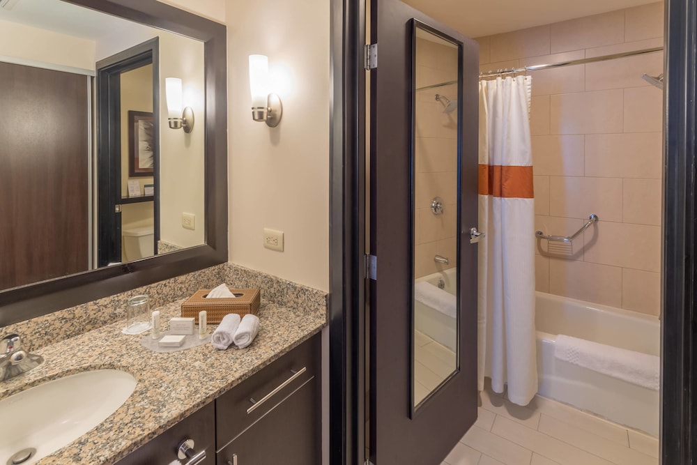 Residence Inn By Marriott San Jose Escazu 13/58