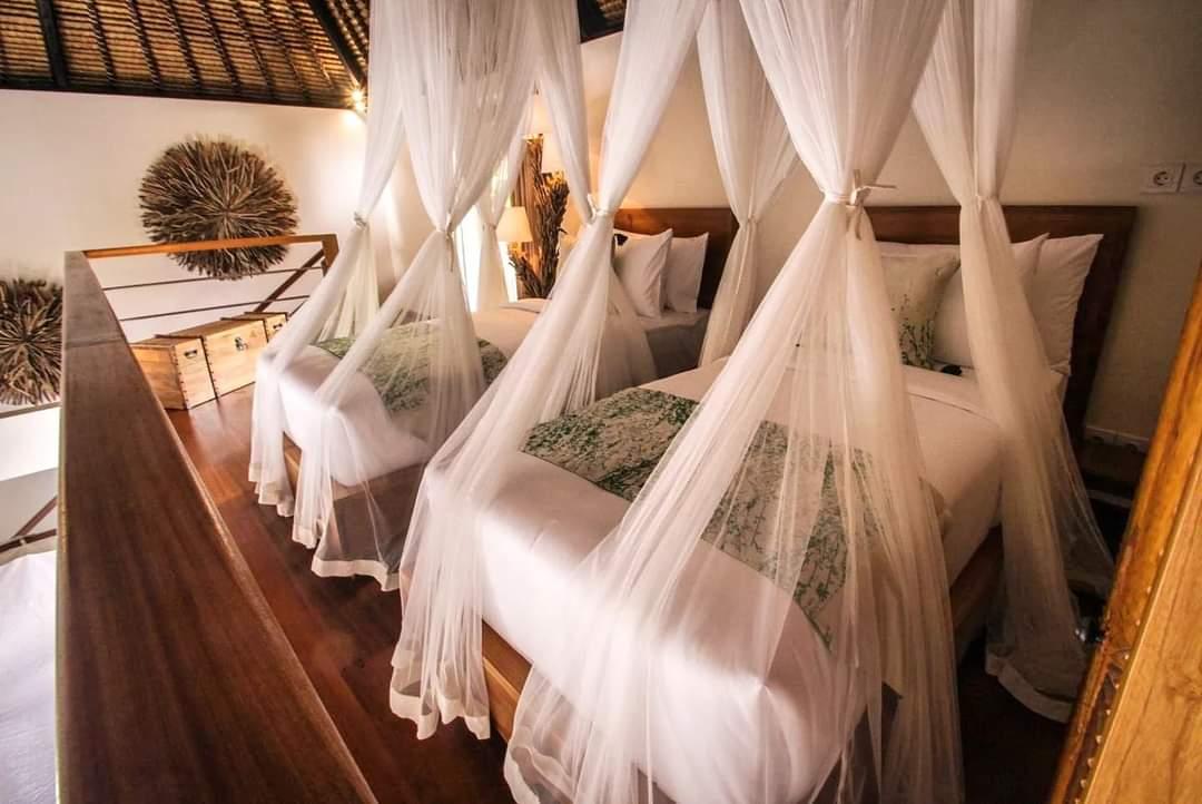 Luxury, Lodge
