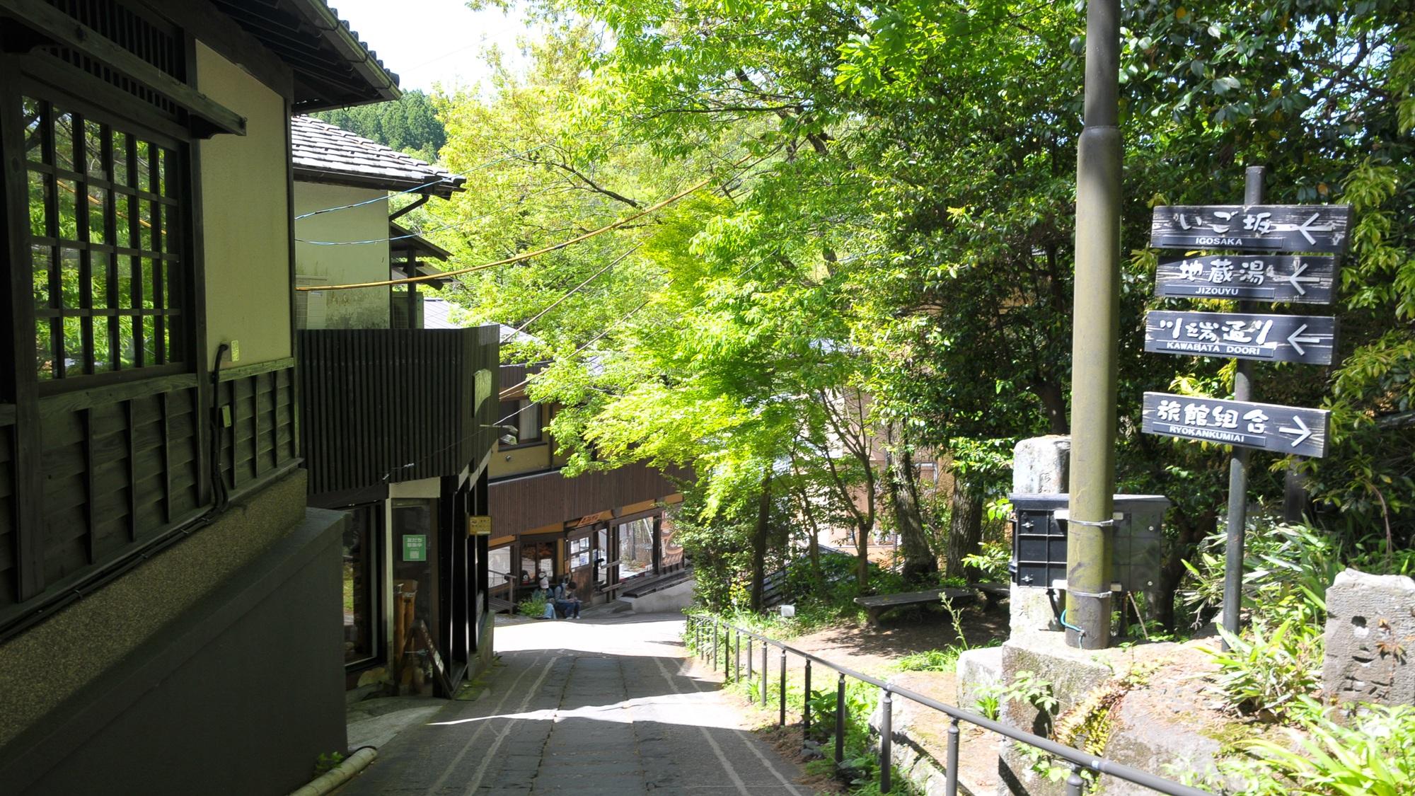 Iyashi-no-Sato Kiyashiki 30/31