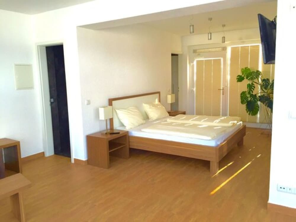 Room, Double Bed, Sofa, French Balcony