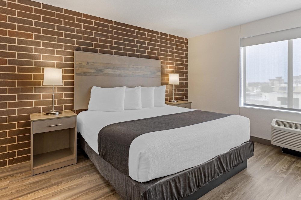 Suite, King Bed, Sofa, Kitchen
