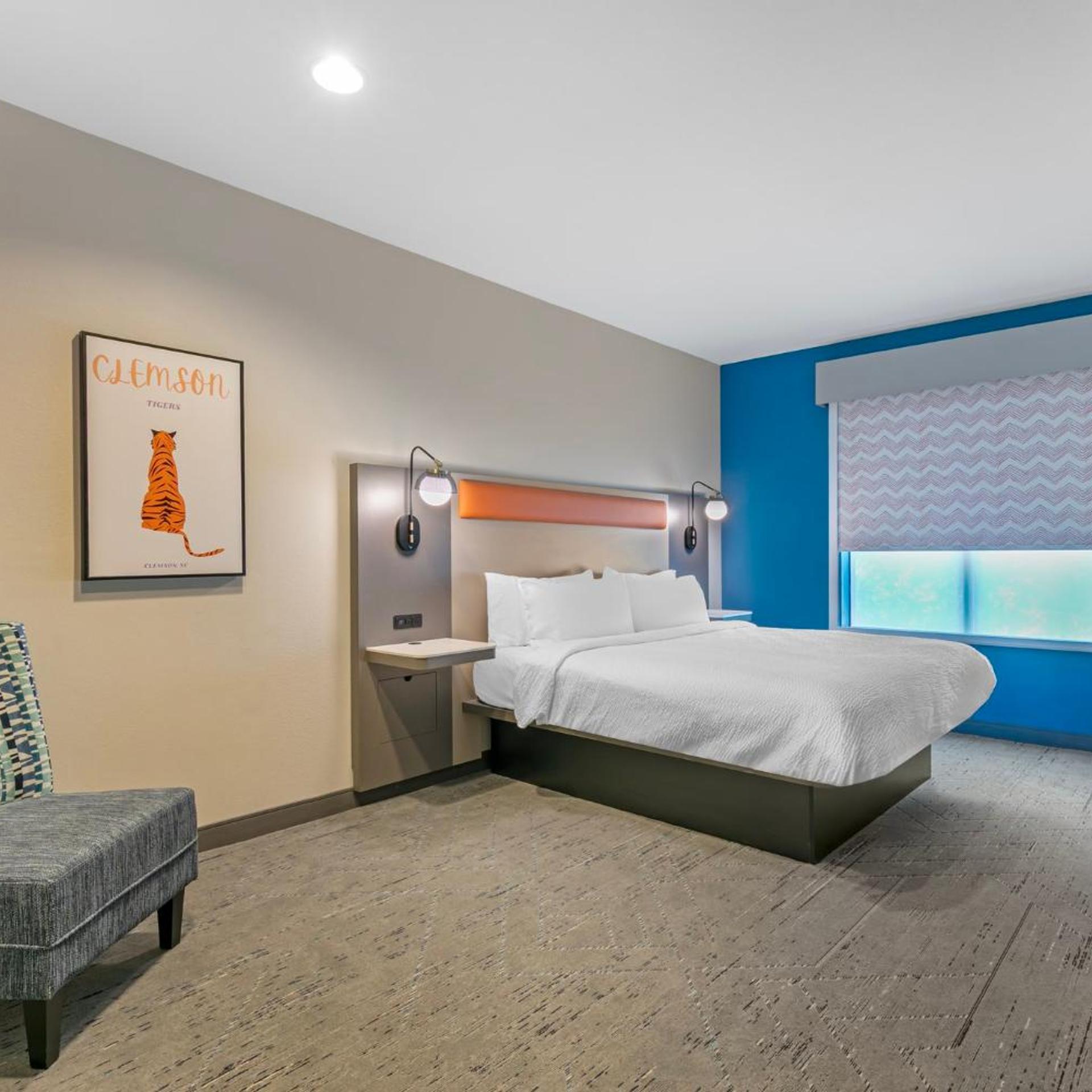 جناح ديلوكس بسرير كينج، Holiday Inn Express & Suites Clemson - Univ Area 3/4