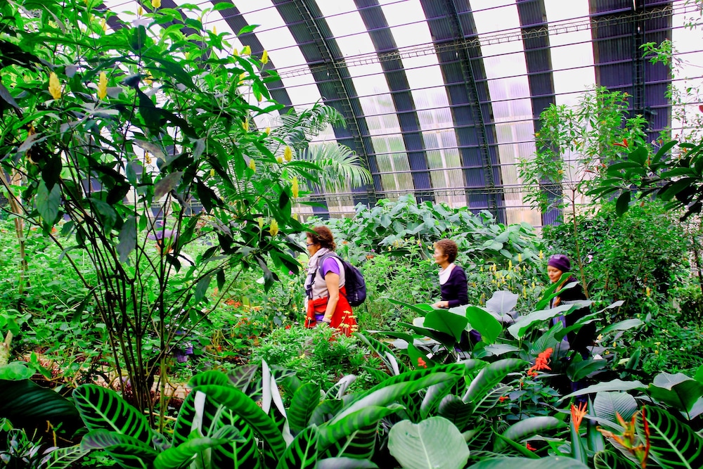 Hotel Ficus Monteverde 7/74