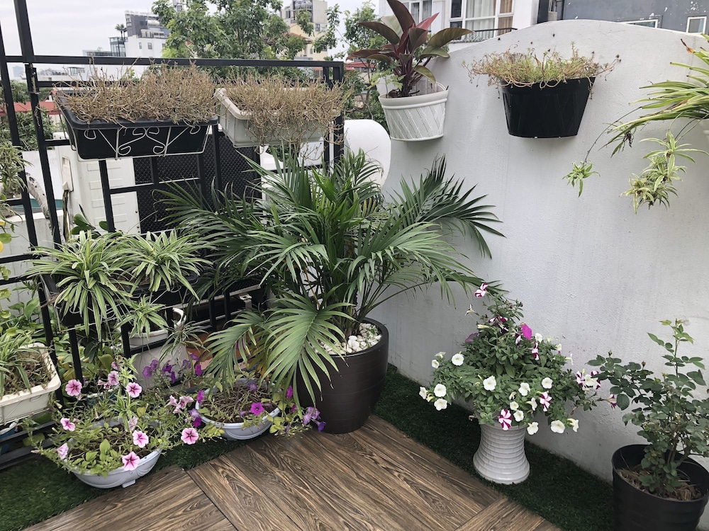Hanoi La Selva Hotel 58/70