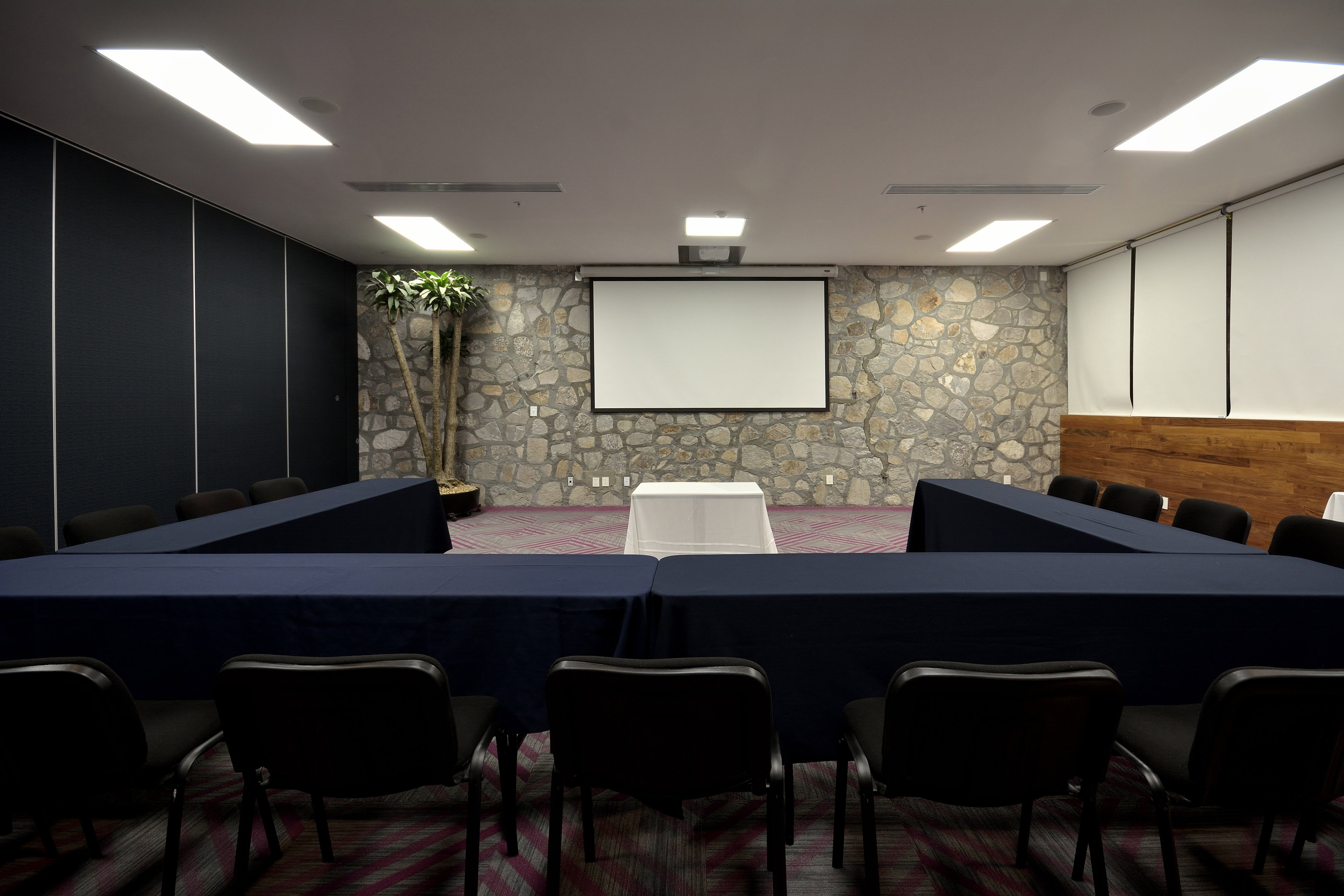 Holiday Inn Express Pachuca 52/57
