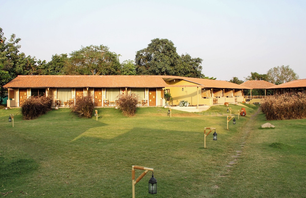 Asiatic Lion Lodge 47/50
