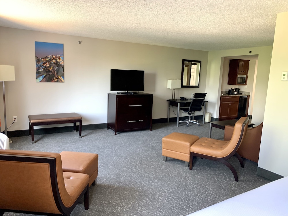 Wingate by Wyndham Atlanta Galleria Ballpark 32/50