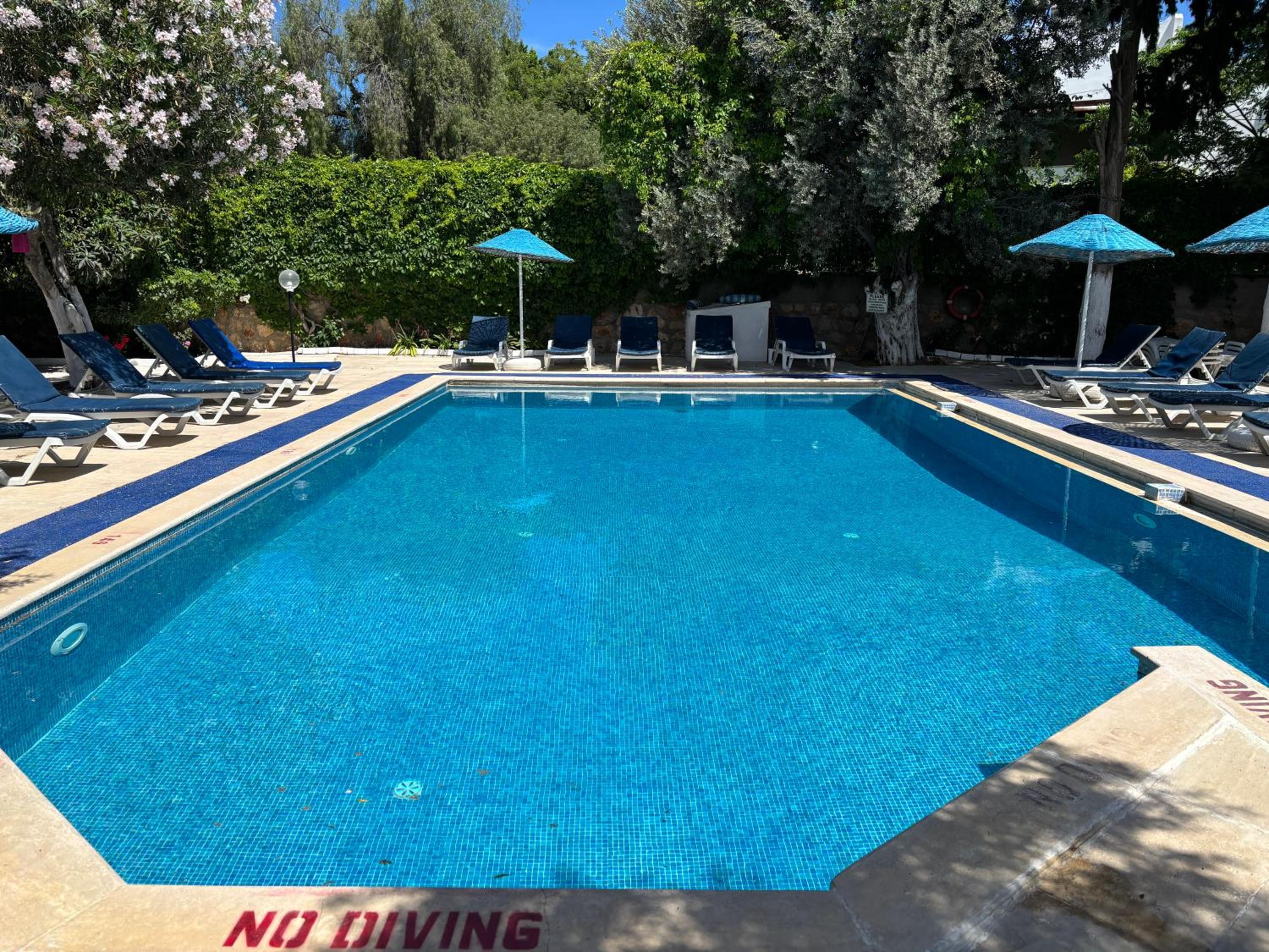 Ali Baba Hotel 30/55