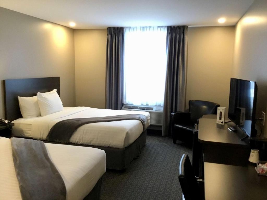 Suite, 2 Queen Beds