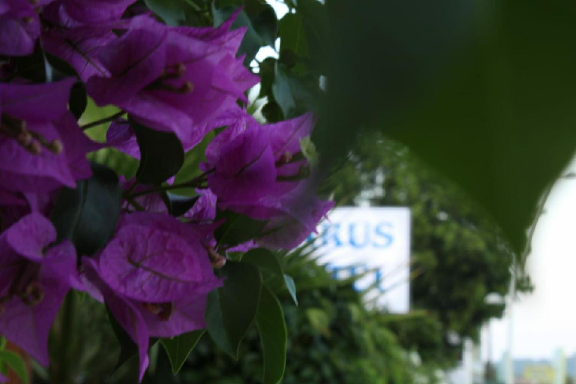 Parus Hotel 45/50