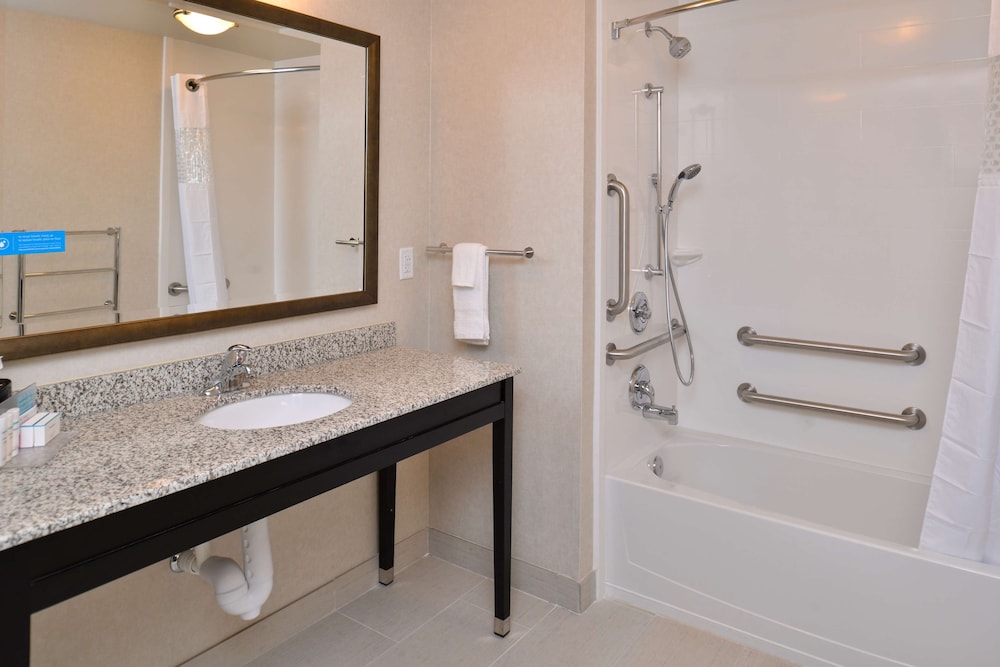 Hampton Inn Suites Orlando Downtown South Medical Center 12/46