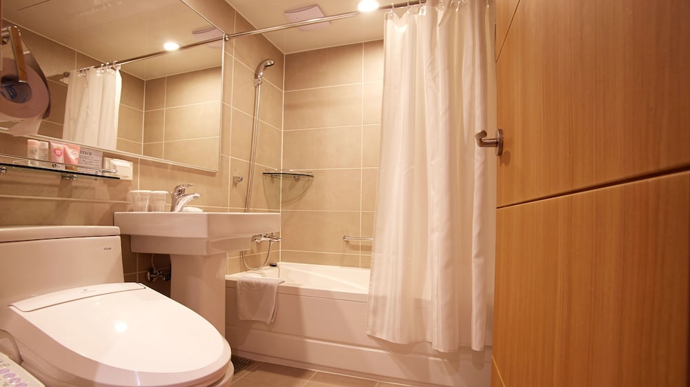 Hotel Skypark Central Myeongdong 23/44