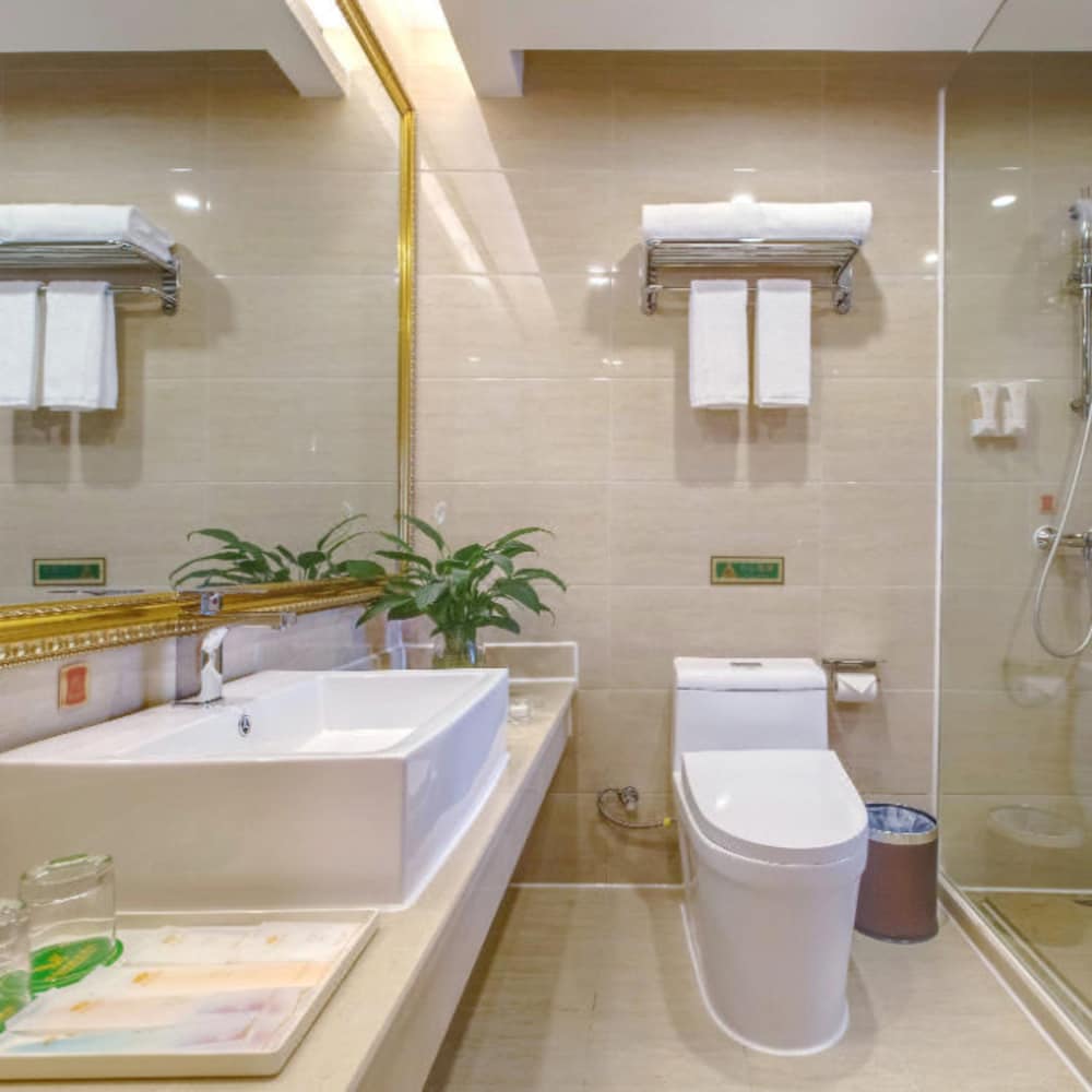 Vienna Hotel (Guilin Jichang Road Rongshan) 39/40