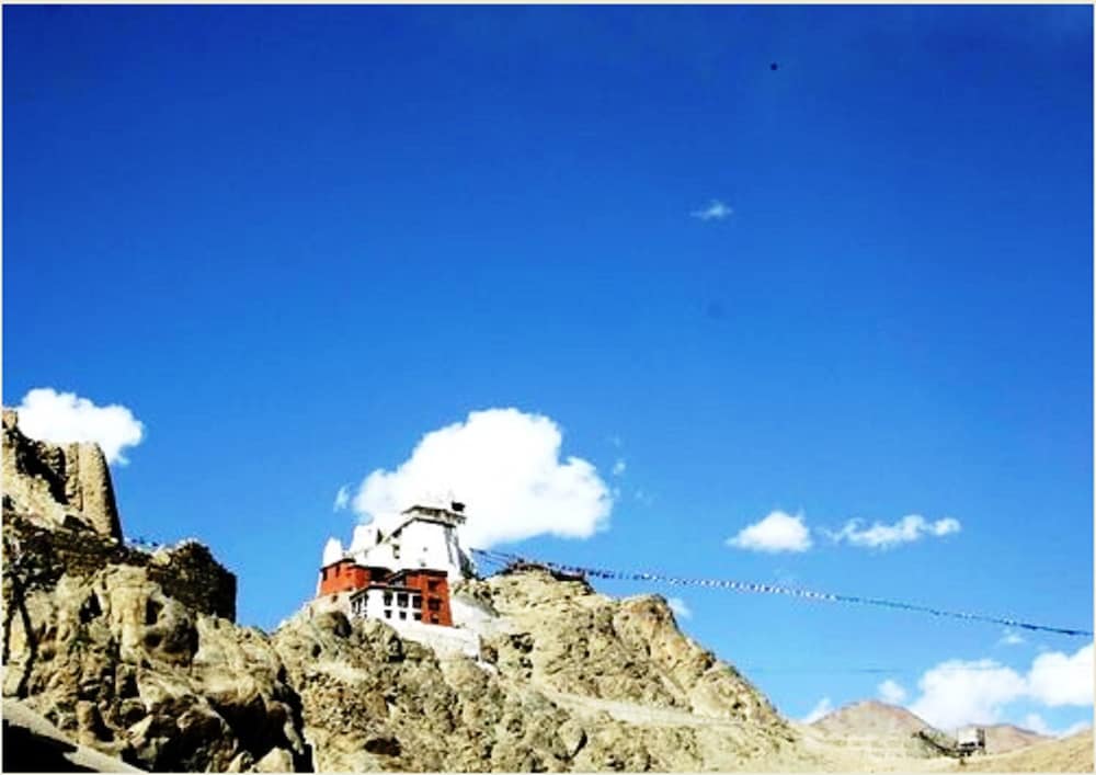 Grand Himalaya 43/50