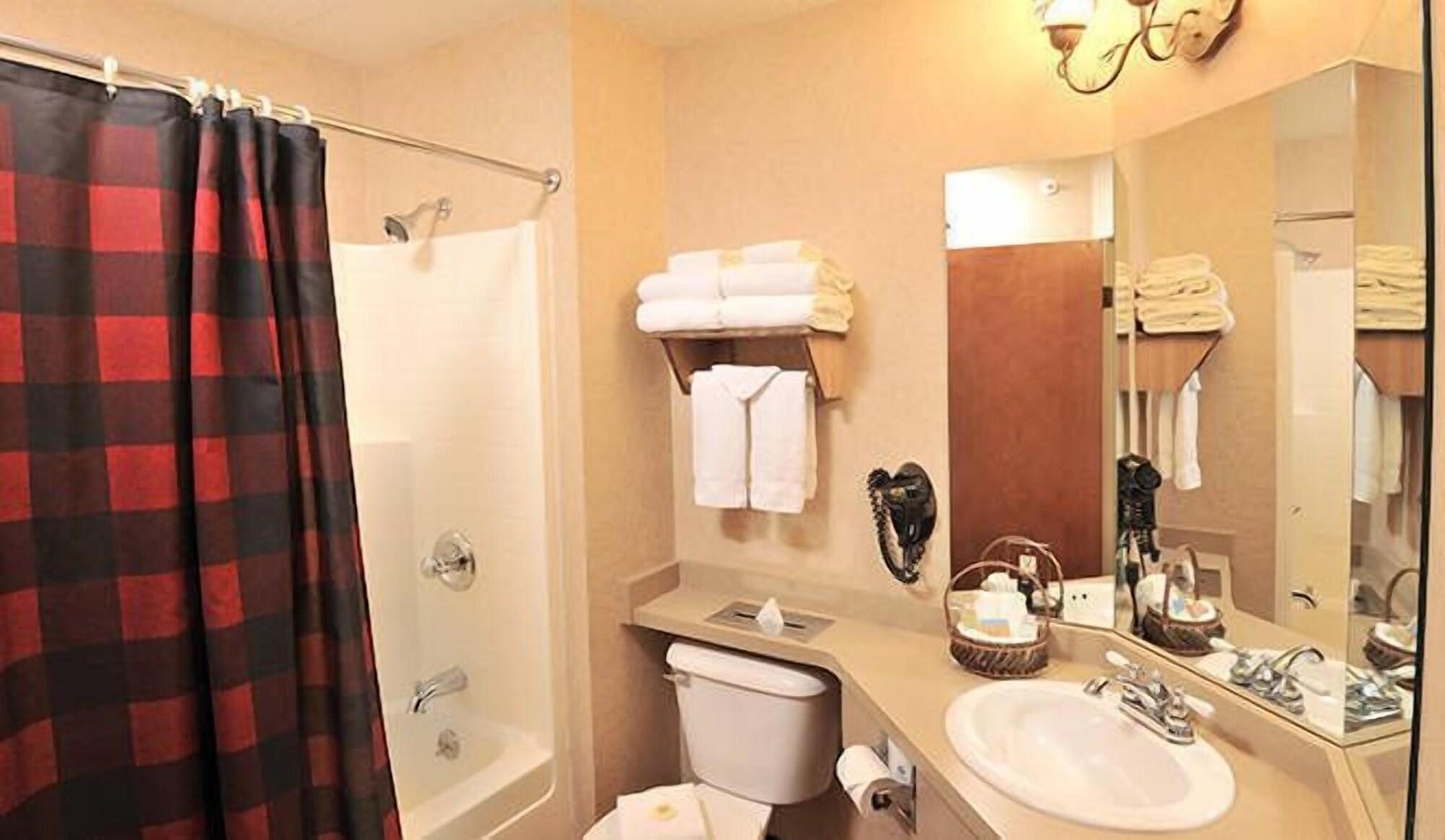 Boarders Inn & Suites by Cobblestone Hotels in Waukon 22/25