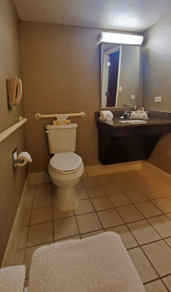 Holiday Inn Express Hotel Suites Buffalo Airport 22/58