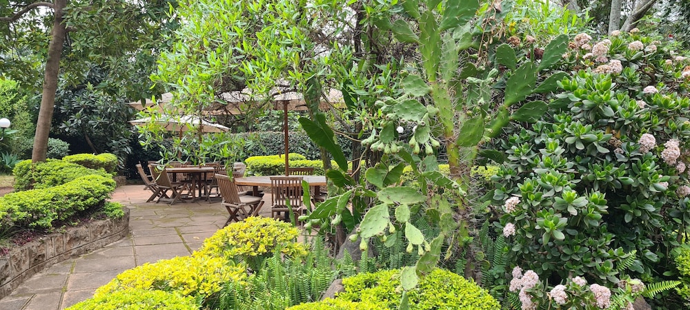 Margarita House 40/50