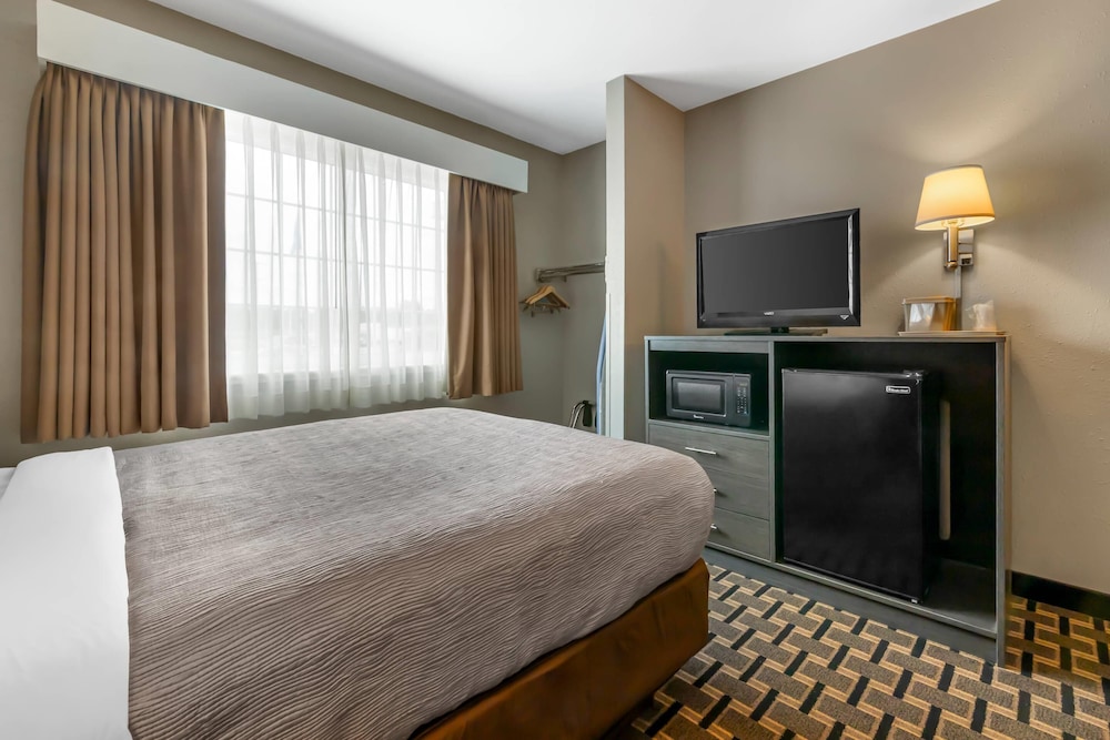 Room, Queen Bed, Sofa, Accessible