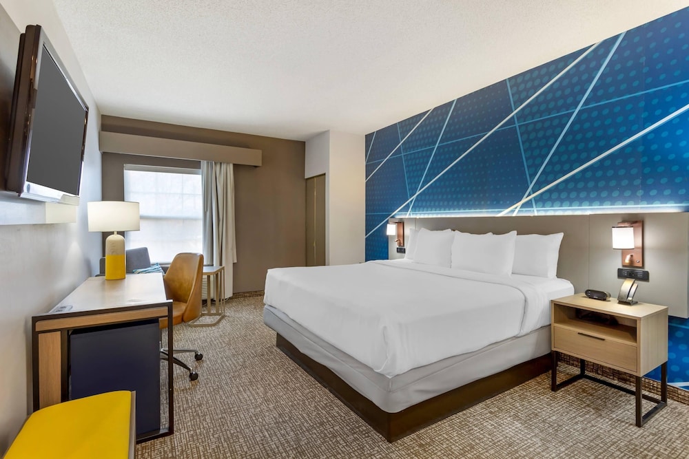 Room, King Bed