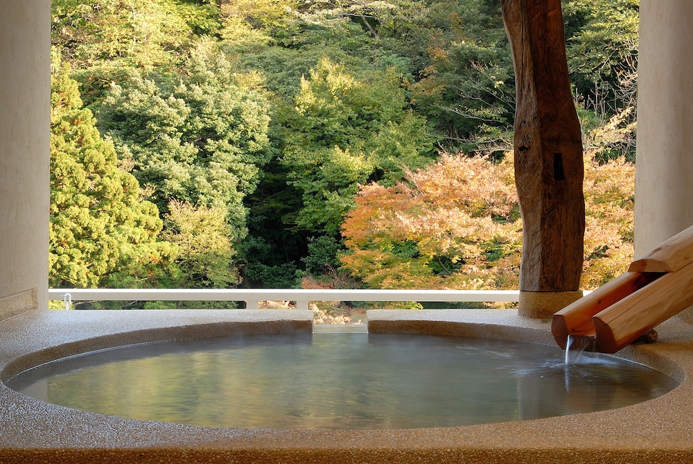 Hakone Suimeisou 28/41
