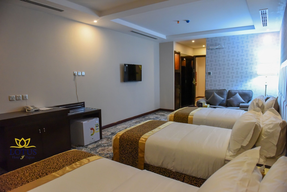 فندق اللوتس(Lotus Hotel) 17/47