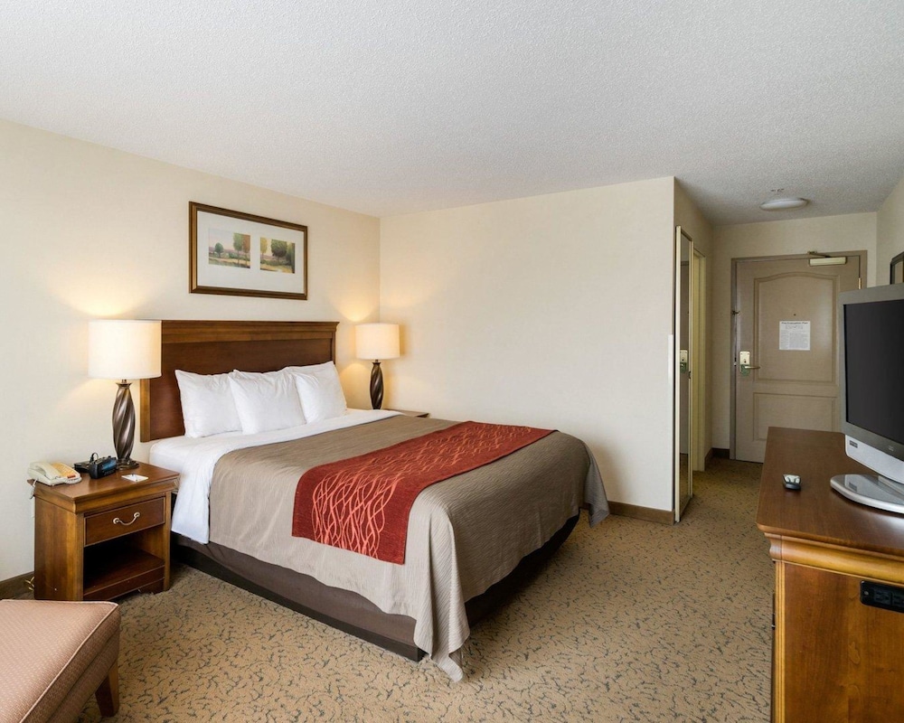 Comfort Inn & Suites Dover near Speedway 13/56