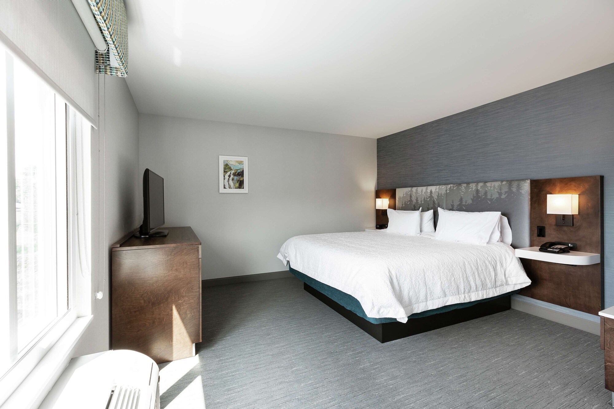SUITE, KING BED