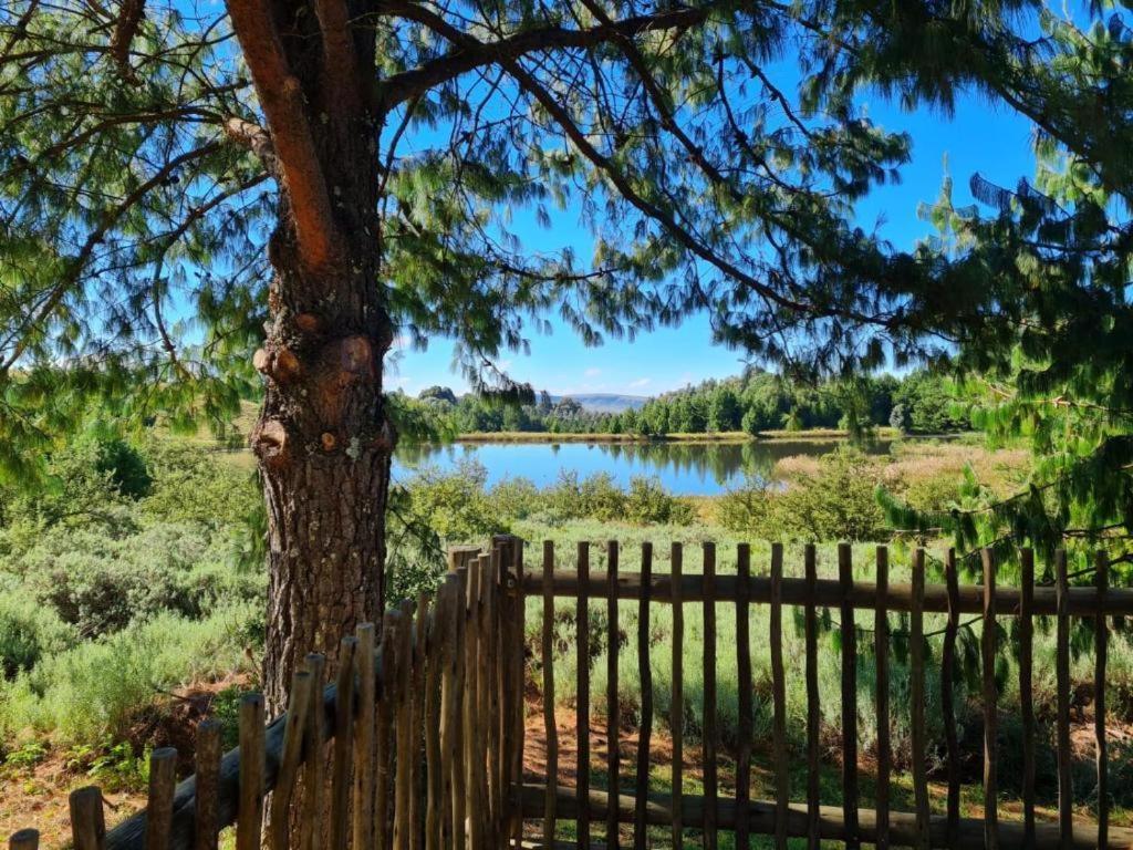 Ukutula Resort 25/26
