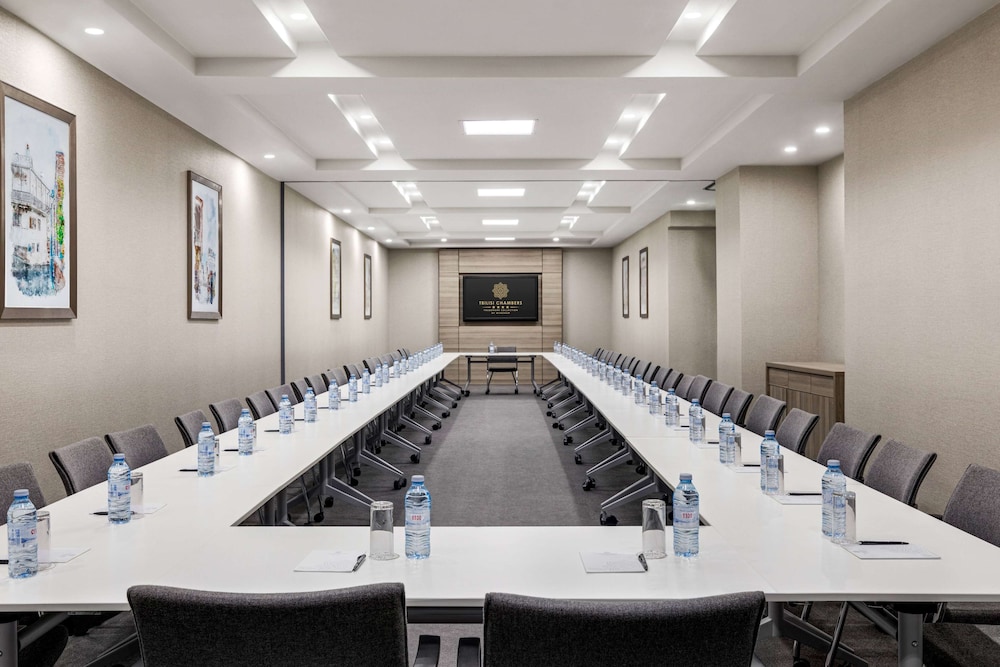 Tbilisi Chambers, Trademark Collection by Wyndham 38/50