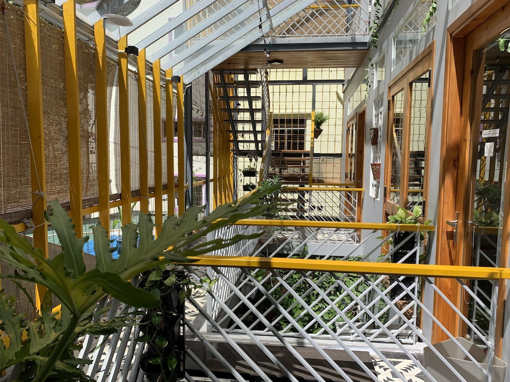 Yellow House Boutique 6/34