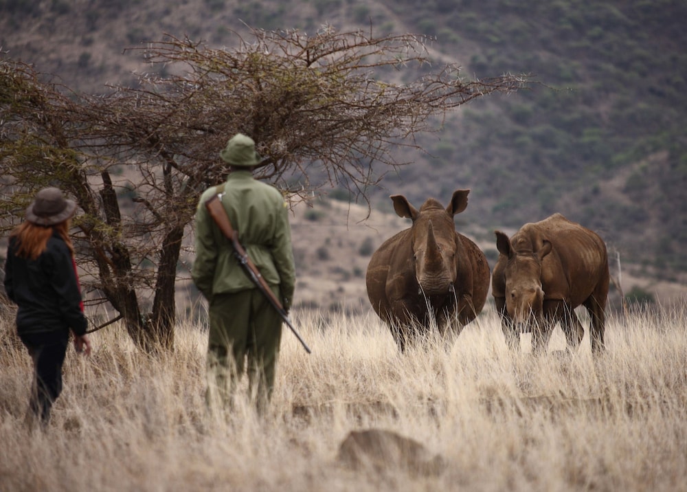 Lewa Safari Camp 42/50