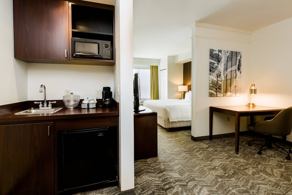 Springhill Suites Florence 34/43