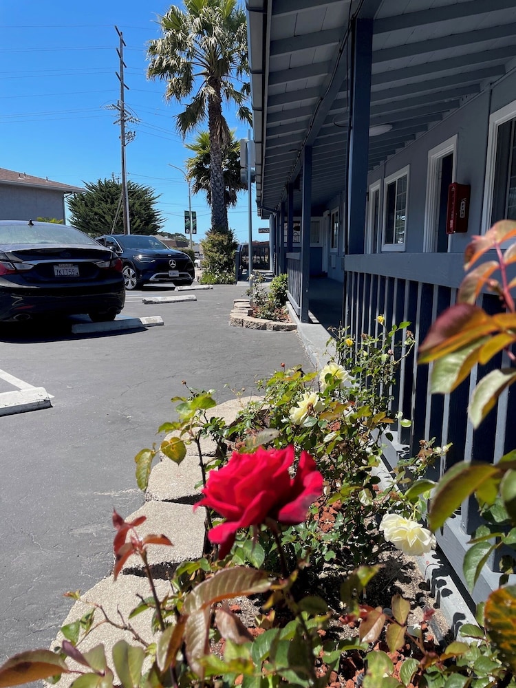 Monterey Fireplace Inn 24/30