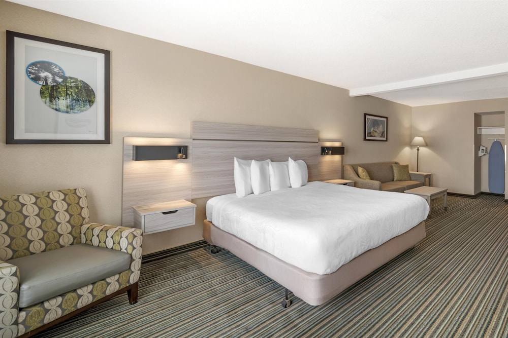 جناح بسرير كينج مع أريكة لذوي الإعاقة، Best Western Plus Twin View Inn & Suites 5/7
