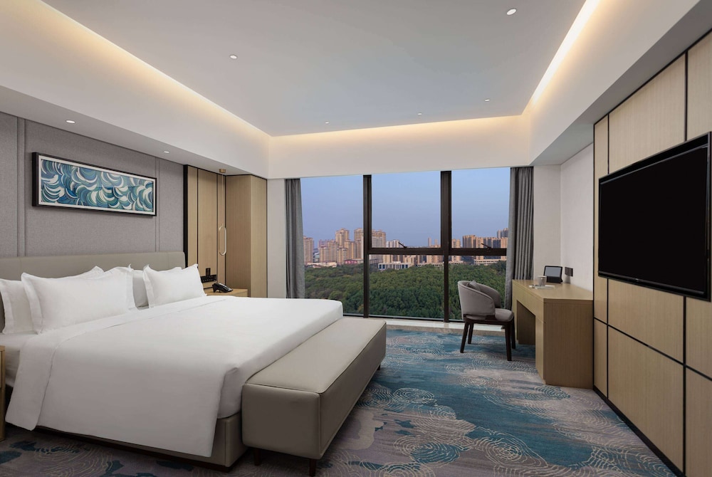 Microtel by Wyndham Songzi 7/16