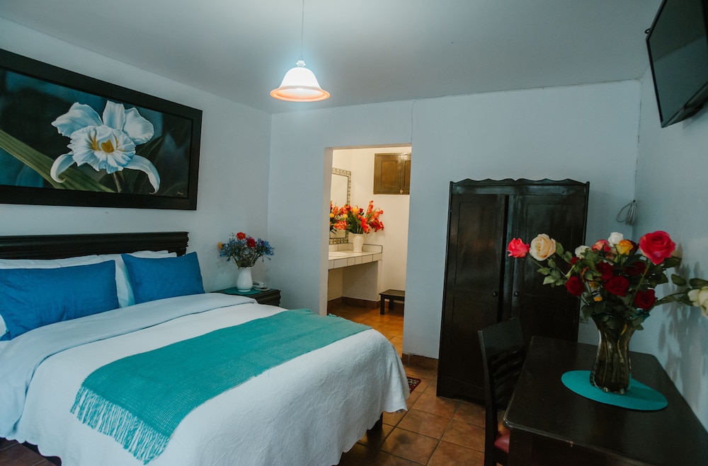 Gringo Bill S Boutique Hotel 19/90