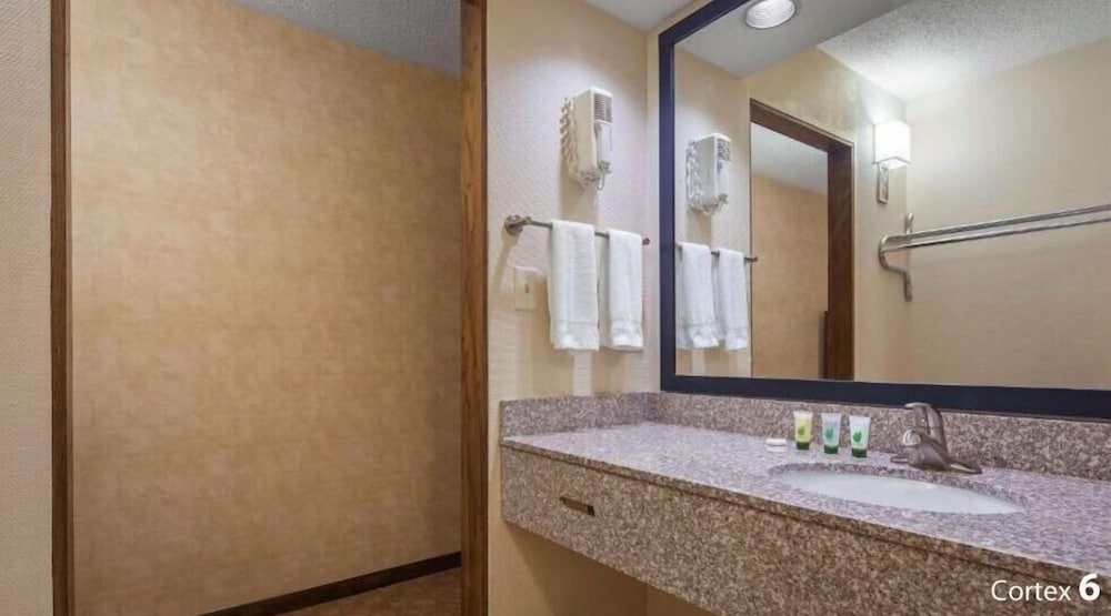 Suite, King Bed, Jetted Tub