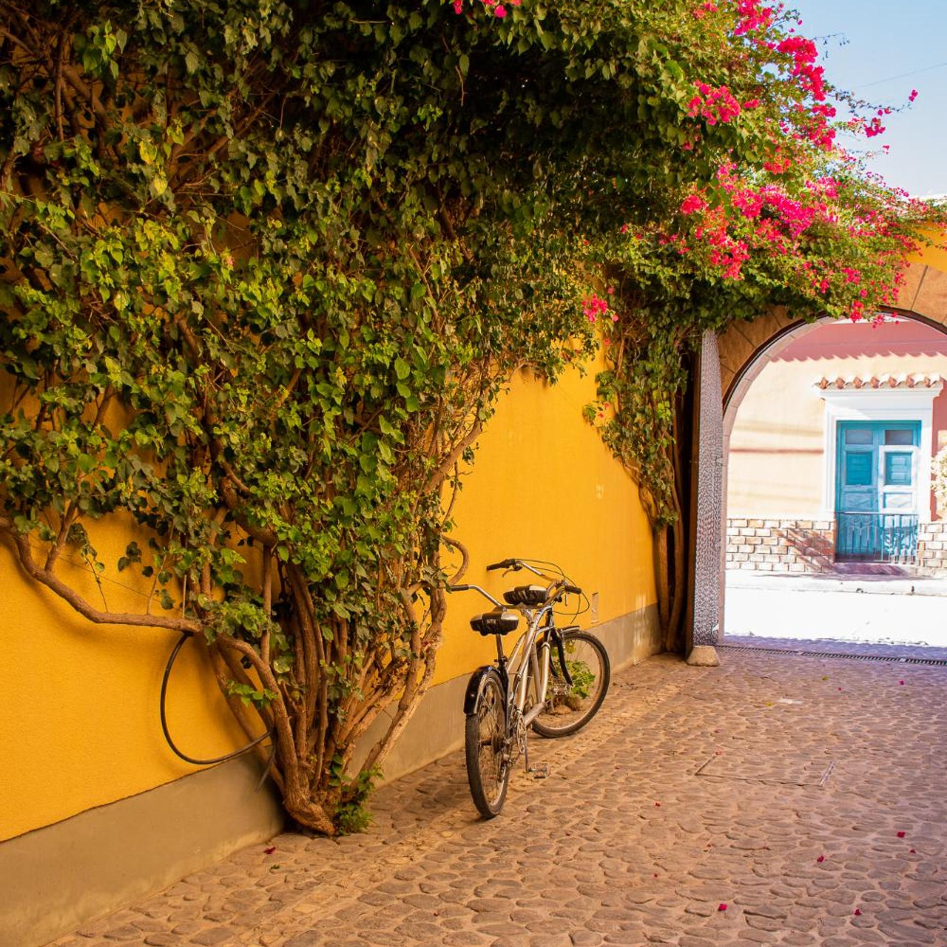 Villa Vicuña Wine and Boutique Hotel 48/51
